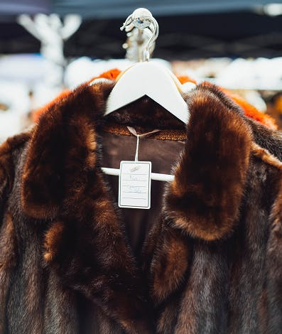 New Bills Across U.S. States Aimed at Protecting Animals - Guest Post by  Ashley Halsey