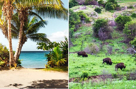 Hawaii and Oklahoma Biennium and New Hampshire Carry Over