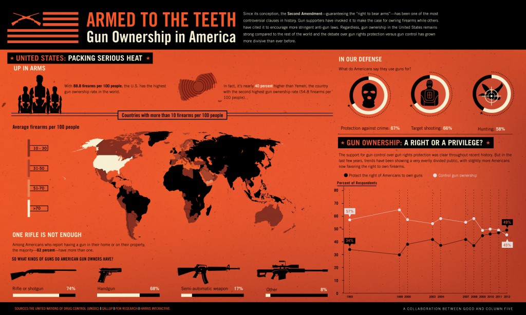 Guns Infographic
