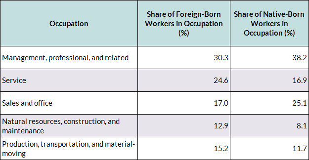 Immigrant Occupation 