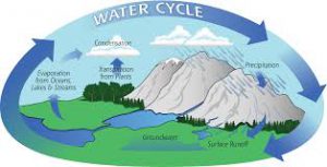 FreshWaterCycle